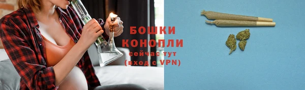 мяу мяу мука Бородино
