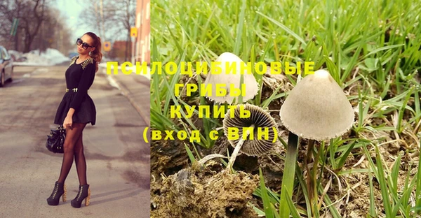 экстази Богданович